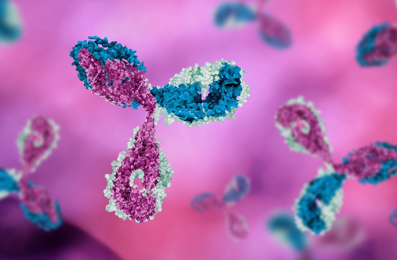 Asylia Therapeutics, Houston Texas, antibodies t-cells