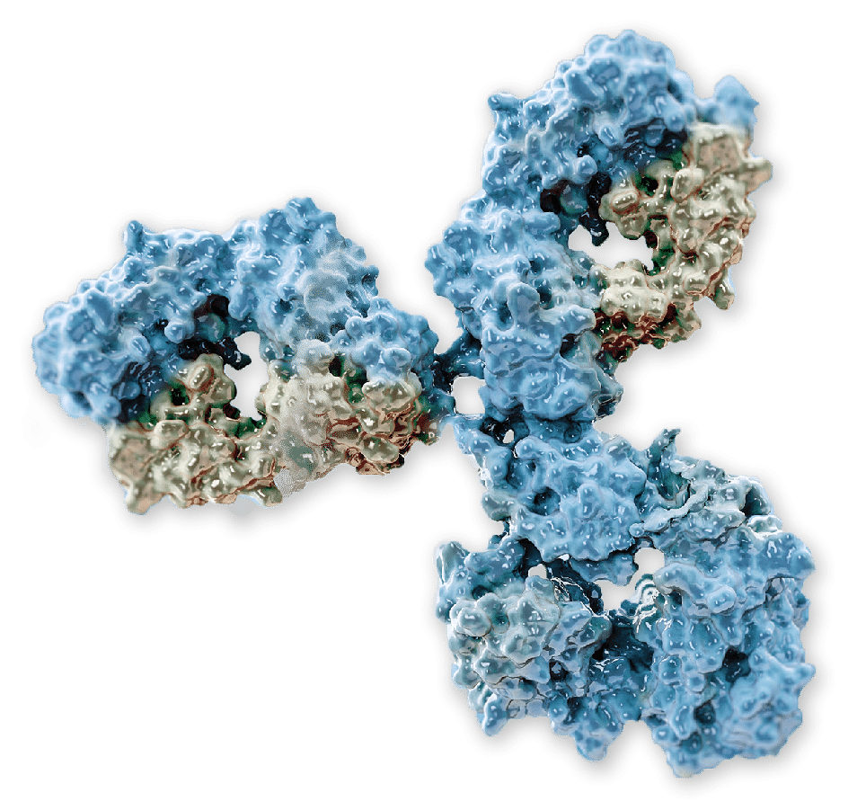 Asylia Therapeutics T cell